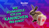 Text, Logo Benedict, Hase und Popcorn auf farbigem Hintergrund