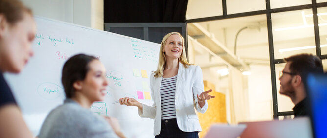 Höheres Wirtschaftsdiplom HWD VSK - BVS Business-School